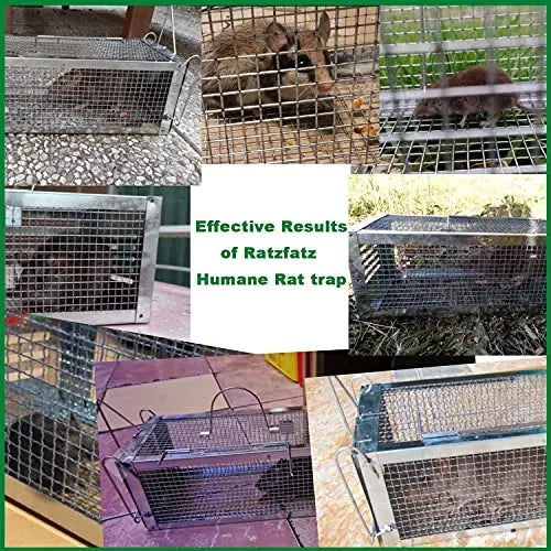 RatzFatz® 2x Lebendfalle Premium Mausefalle, Köder, Rattenfalle, Groß, XL, Profi, Garten & Haus, Tierfalle Set, ua Hasen & Hamster, Mehrfach, Lebend, Jagd, Käfig, Box, Aussen, Kastenfalle