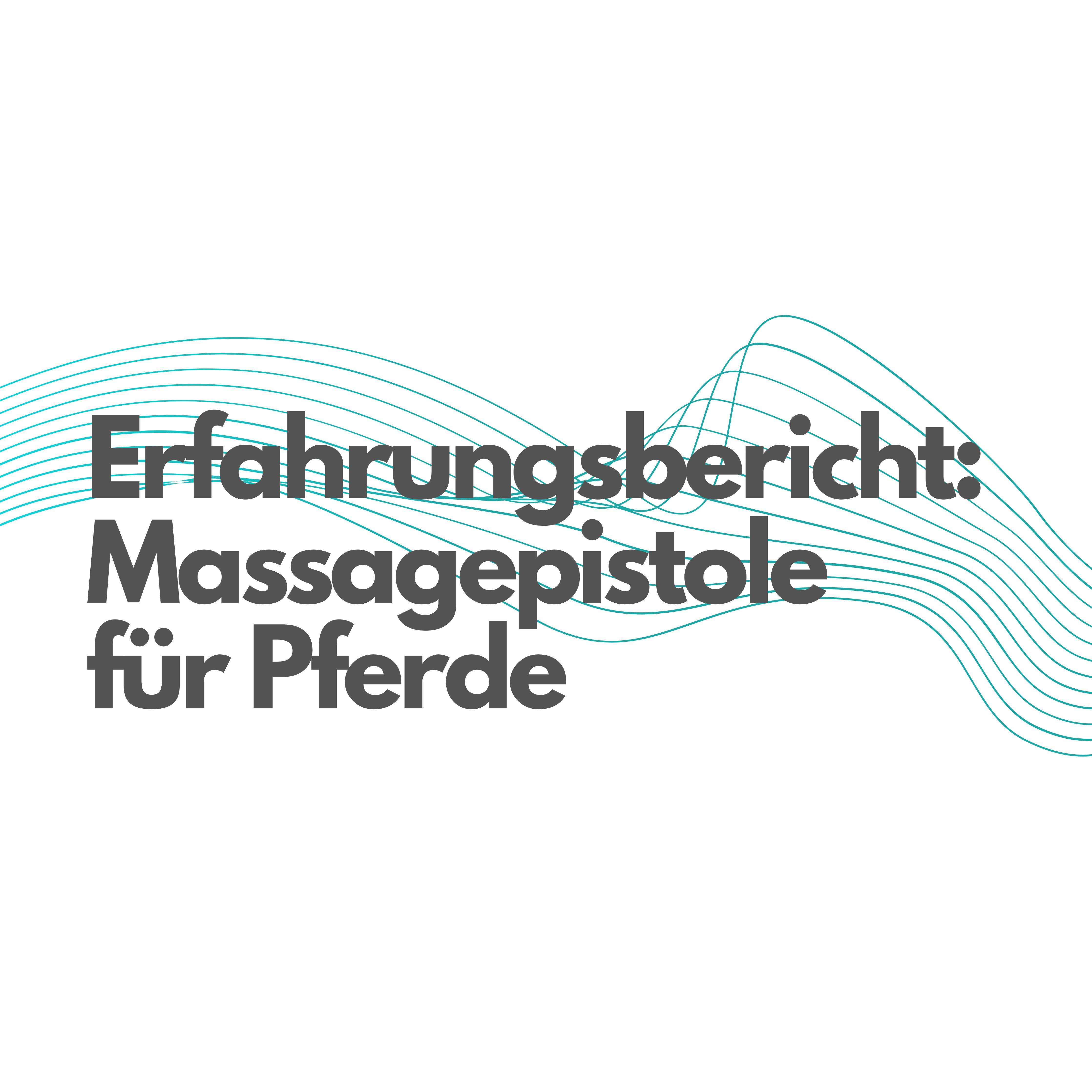 Die beste Massagepistole für Pferde?